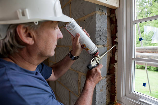 Best Crawl Space Insulation  in Wmington, IL