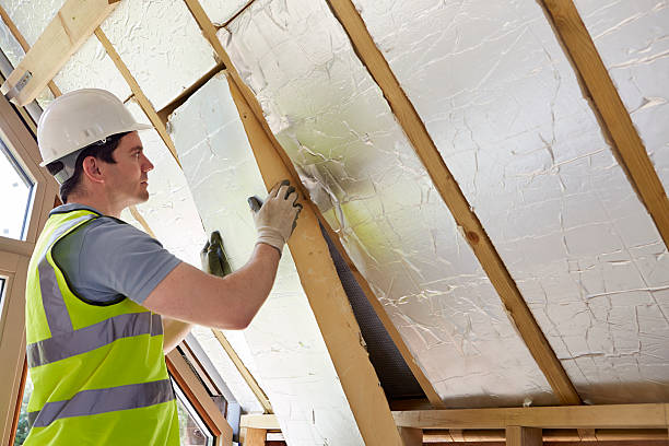 Best Home Insulation Services  in Wmington, IL